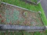 image of grave number 524514